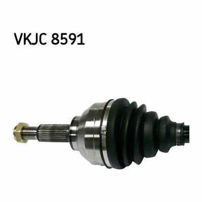 distriauto2-747910