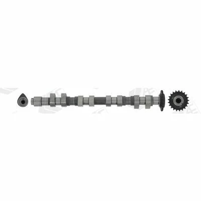 distriauto4-770082