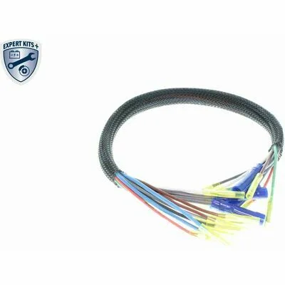 distriauto5-854463