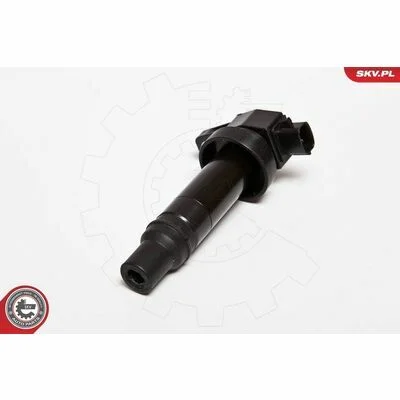 distriauto6-805593