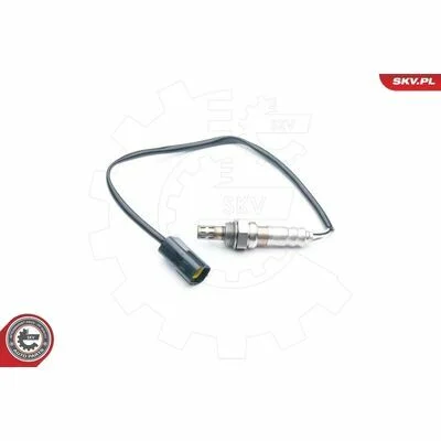 distriauto6-811053