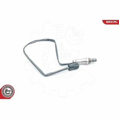 distriauto6-811099
