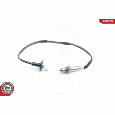 distriauto6-811605