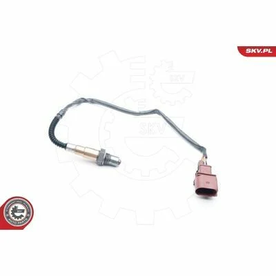 distriauto6-811687