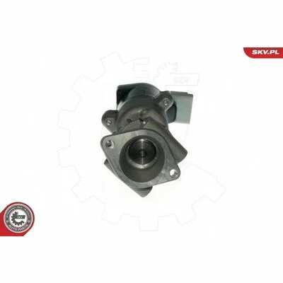 distriauto6-828010