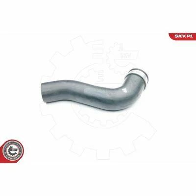 distriauto6-847296