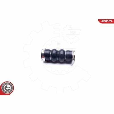 distriauto6-848504