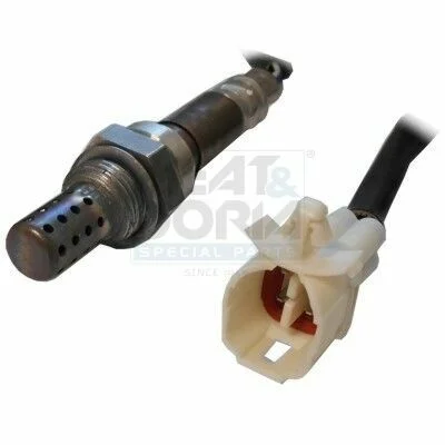 distriauto7-853981