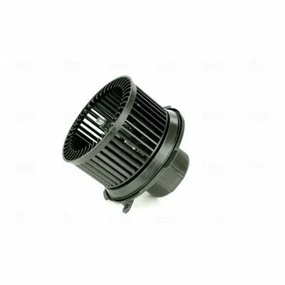 distriauto7-858241