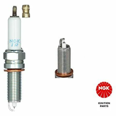 distriauto7-876443