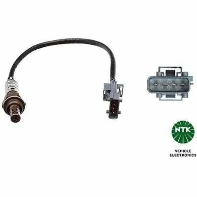 distriauto7-876489